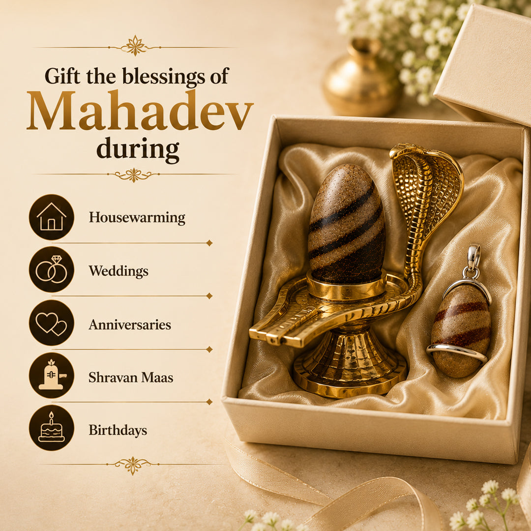 Narmadeshwar Shivling (with jaldhari Naag) + Narmadeshwar Shivling Pendant