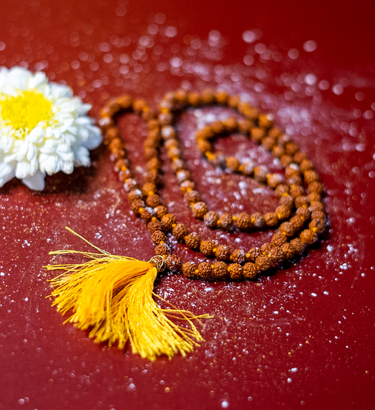 Consecrated Rudraksha Mala Panch Mukhi (Size 6 mm )