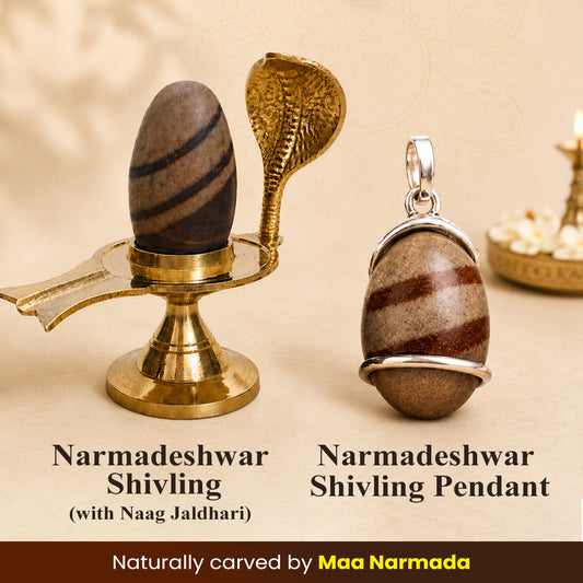Narmadeshwar Shivling (with jaldhari Naag) + Narmadeshwar Shivling Pendant