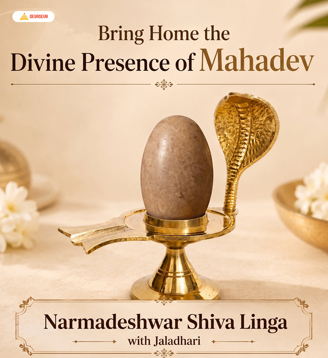 Pure Narmadeshwar Shivling with Brass Naag Jaldhari