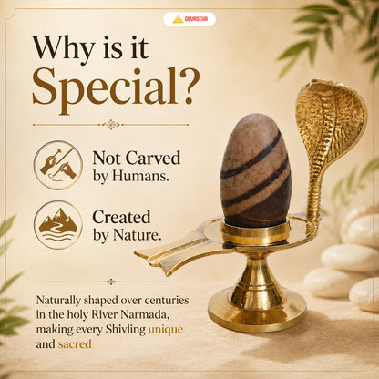 Pure Narmadeshwar Shivling with Brass Naag Jaldhari