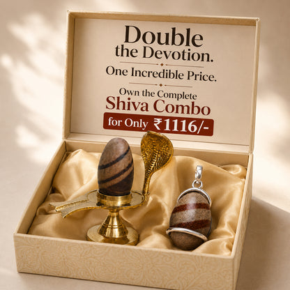 Narmadeshwar Shivling (with jaldhari Naag) + Narmadeshwar Shivling Pendant