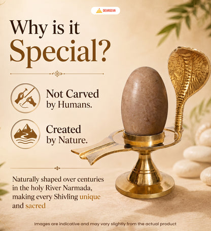 Pure Narmadeshwar Shivling with Brass Naag Jaldhari