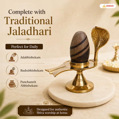 Pure Narmadeshwar Shivling with Brass Naag Jaldhari