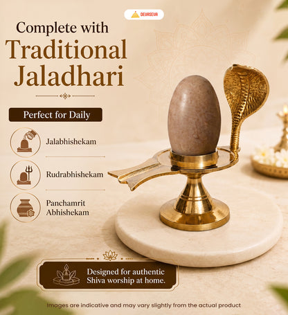 Pure Narmadeshwar Shivling with Brass Naag Jaldhari