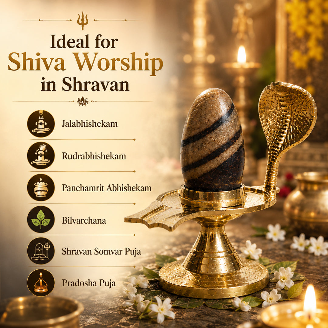 Narmadeshwar Shivling (with jaldhari Naag) + Narmadeshwar Shivling Pendant