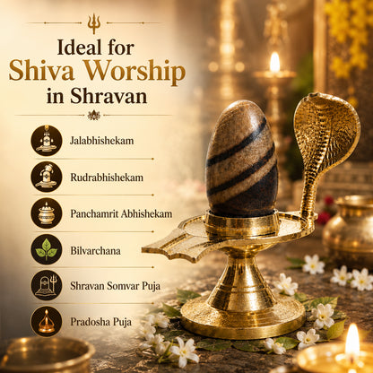 Narmadeshwar Shivling (with jaldhari Naag) + Narmadeshwar Shivling Pendant