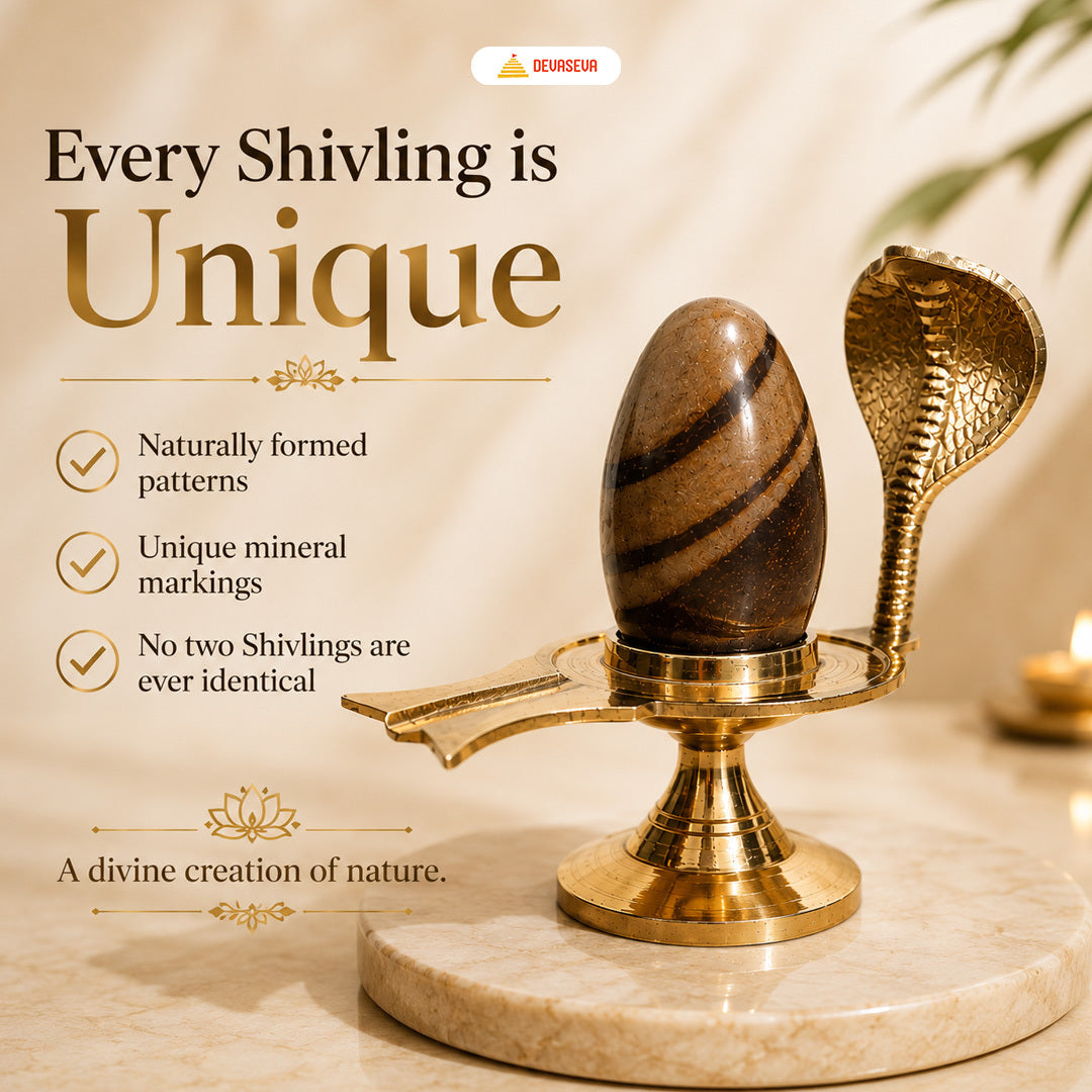 Pure Narmadeshwar Shivling with Brass Naag Jaldhari