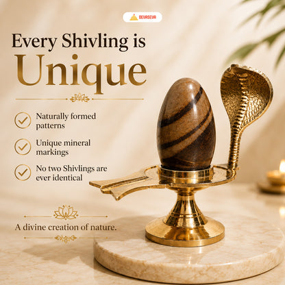 Pure Narmadeshwar Shivling with Brass Naag Jaldhari