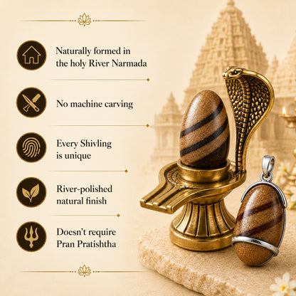 Narmadeshwar Shivling (with jaldhari Naag) + Narmadeshwar Shivling Pendant