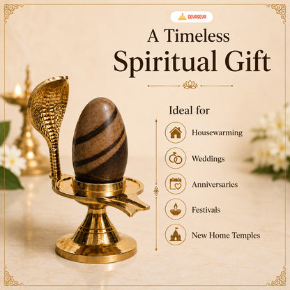 Pure Narmadeshwar Shivling with Brass Naag Jaldhari