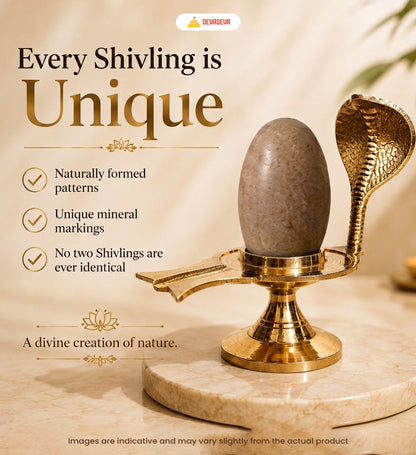 Pure Narmadeshwar Shivling with Brass Naag Jaldhari