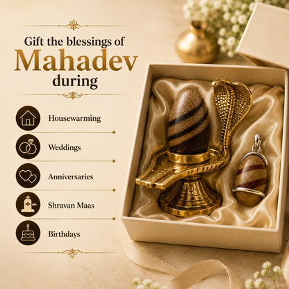Narmadeshwar Shivling (with jaldhari Naag) + Narmadeshwar Shivling Pendant